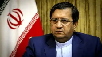 همتی: کنترل ترازنامه بانک‌ها را با جدیت دنبال می‌کنیم