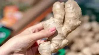 فواید شگفت‌انگیز زنجبیل برای کبد؛ از کاهش التهاب تا کمک به کنترل کبد چرب