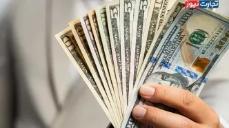 آخرین قیمت دلار امروز یکشنبه 11 مرداد 1405/ ورود دلار توافقی به کانال 153 هزار تومانی