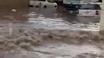 سیل در طائف عربستان خودروها را با خود برد