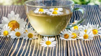 چای بابونه؛ دمنوشی آرام‌بخش با خواصی فراتر از تصور