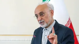 علی‌اکبر صالحی: امام حسین(ع) تا آخرین لحظه راه گفت‌وگو را نبست؛ مقاومت هرگز به معنای نفی گفت‌وگو نیست/ تا عاشورا پابرجاست، ایران هم زنده و پویاست