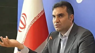 افزایش ۲ برابری نرخ ارز محاسباتی عامل گرانی گوشی موبایل است