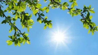 آسمان این شهرها امروز صاف و آفتابی است / رگبار در ۶ استان