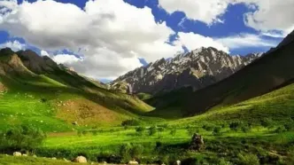 ثبت تصاویر تماشایی از همزیستی خرس‌های قهوه‌ای و کل‌وبزها در اشترانکوه+فیلم