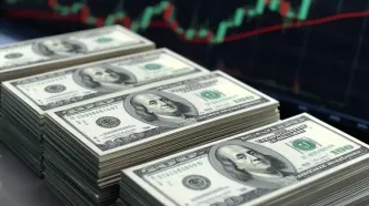 قیمت دلار امروز یکشنبه ۲۵ مرداد ۱۴۰۵ +جدول