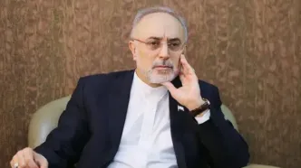 صالحی: امام حسین (ع) تا آخرین لحظه راه گفت‌وگو را نبست