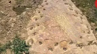 کشف ردپای 130 میلیون سالۀ دایناسوری که یک پایش می‌لنگیده است