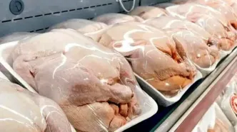 طرح جدید برای فروش مرغ | مرغ‌های سنگین از بازار کنار می‌روند؟
