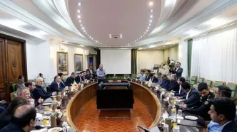 جزئیات دیدار وزیر کشور پاکستان با وزیر نفت