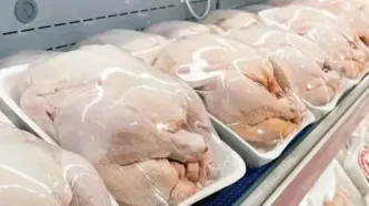 تغییر الگوی تولید و مصرف مرغ؛ اتحادیه مرغداران خواهان بررسی فوری طرح‌های کارشناسی شد