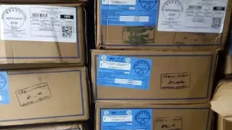 پاسخ انجمن گوشت به ابهام‌ها درباره واردات از برزیل