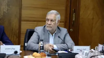 شهباز حسن‌پور: گروه مالی گردشگری با سرمایه‌گذاری در کرمان، الگویی موفق از نقش‌آفرینی بخش خصوصی در توسعه استان است