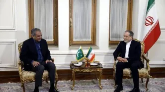 ماجرای سفر وزیر کشور پاکستان و انتقال پیام به ایران چه بود؟