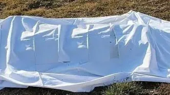 وحشت در مزارع چناران/ کشف جسد مردی که بخشی از آن توسط حیوانات خورده شد +عکس