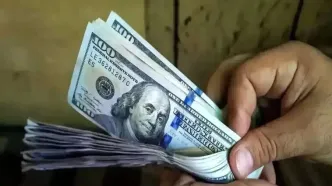 انتقادات از سیاست ارزپاشی اخیر بانک مرکزی و عواقب آن