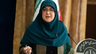 واکنش سخنگوی دولت به شوخی‌هایی که با او در فضای مجازی می‌شود/ ویدئو