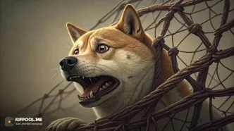 فشار شورت ۴۰ برابری روی دوج‌کوین؛ آیا DOGE در آستانه تله خرسی است؟
