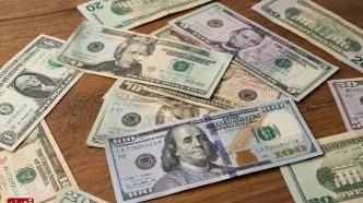 بانک مرکزی دست به کار شد/ تزریق 500 میلیون دلار به بازار