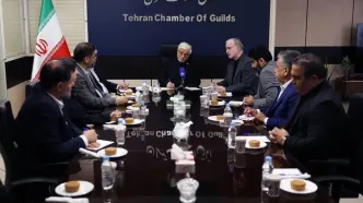 دولت آماده واگذاری اختیارات بازار به اصناف است