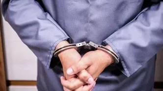 سرکردهٔ شبکه تراستی با بدهی ۷۰ هزار میلیارد تومانی دستگیر شد