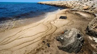 مهار بخش عمده آلودگی نفتی سواحل قشم