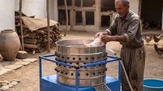 آیا دستگاه برای پرکنی مرغ در خانه وجود دارد؟