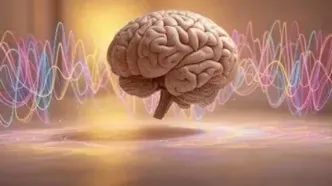 مسیریابی می‌تواند به سلامت مغز کمک کند؟/ ویدئو