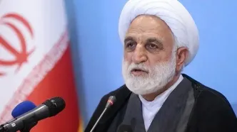 اژه‌ای: تا آخر مرداد ۳۵۸ پرونده برای تراستی‌ها تشکیل شد/ در یک فقره بیش از ۷ میلیارد یورو پول بازگشت + ویدیو