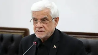 عارف: موضوع تنگه هرمز به زودی حل خواهد شد/ در میدان دیپلماسی نمایندگان کشور ما با اقتدار ظاهر شدند
