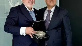 دیدار سفیر پاکستان در تهران با ظریف