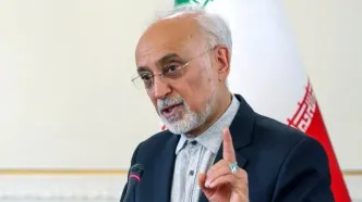 وزیر اسبق امور خارجه: امام حسین (ع) تا آخرین لحظه راه گفتگو را نبست/ مقاومت هرگز به معنای نفی گفتگو نیست