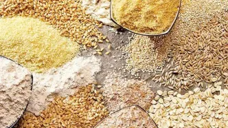 قیمت نهاده های دامی و کشاورزی امروز یکشنبه ۱ شهریور + جدول