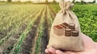 سایه قبض ۴۰۰ میلیونی بر سر کشاورزان/ مشکل برق چاه‌ها ریشه‌ای حل شود