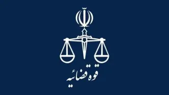 رسیدگی به پرونده کلاهبرداری یک شرکت مهاجرتی با حدود ۳۰۰ شاکی در دادسرای تهران