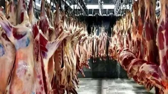 تغییرات قیمت گوشت قرمز امروز ۱۸ مرداد ۱۴۰۵