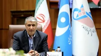 اسلامی: هرگز متوقف نخواهیم شد