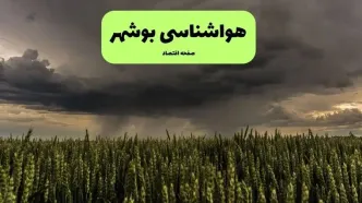پیش بینی وضعیت آب و هوا بوشهر فردا یکشنبه ۱۱ مرداد ۱۴۰۵