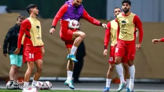 پای یک گزینه جنجالی به پرسپولیس باز شد