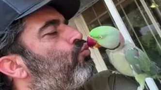 گفتگوی منوچهر هادی با یک طوطی