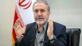 ذوالفقاری: کشت خشخاش ممنوع است