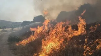 گسترش آتش‌سوزی در منطقه‌ حفاظت‌شده‌ بمو
