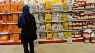 قیمت برنج ایرانی، هندی و پاکستانی اعلام شد؛ کنگری از نبود مشتری می‌گوید