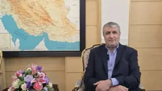 رئیس سازمان انرژی اتمی ایران انتصاب فرماندهان عالی‌رتبه نیروهای مسلح را تبریک گفت