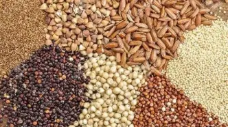جدول قیمت نهاده های دامی امروز شنبه ۱۰ مرداد ۱۴۰۵