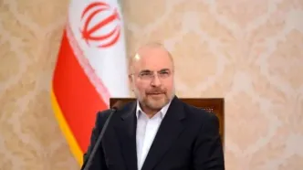 قالیباف انتصاب محسن رضایی به دبیری شورای‌عالی امنیت ملی را تبریک گفت