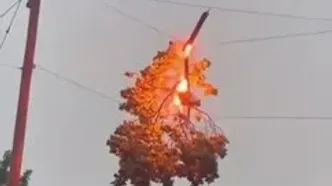 آتش گرفتن شاخه درخت پس از گیر کردن به سیم برق