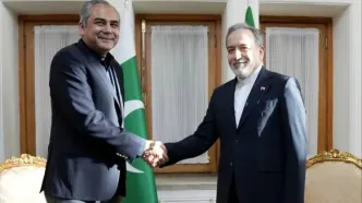 دیدار وزیر کشور پاکستان با عراقچی +عکس