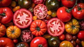 خوردن گوجه فرنگی برای این افراد ضرر دارد؛ ۵ عارضه مهم