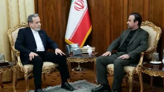دیدار سفیر و نماینده دائم ایران نزد دفتر ملل متحد و سازمان‌های بین‌المللی در وین با وزیر امور خارجه